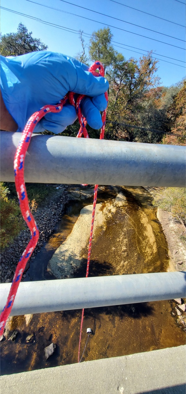 [GA 133 Bridge, Bucket, Withlacoochee River downstream, 11:22:43, 30.8499525, -83.3397189]