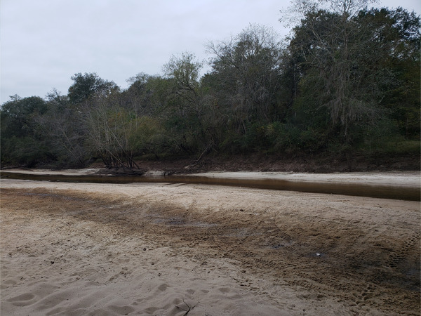 Folsom Bridge Landing downstream, Little River @ GA 122 2022-11-10