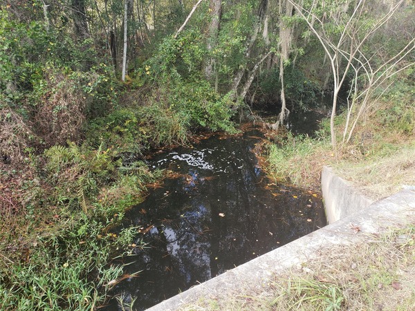 [Beaverdam Creek @ Main Street, Beaverdam Creek @ Main Street 2022-11-13]