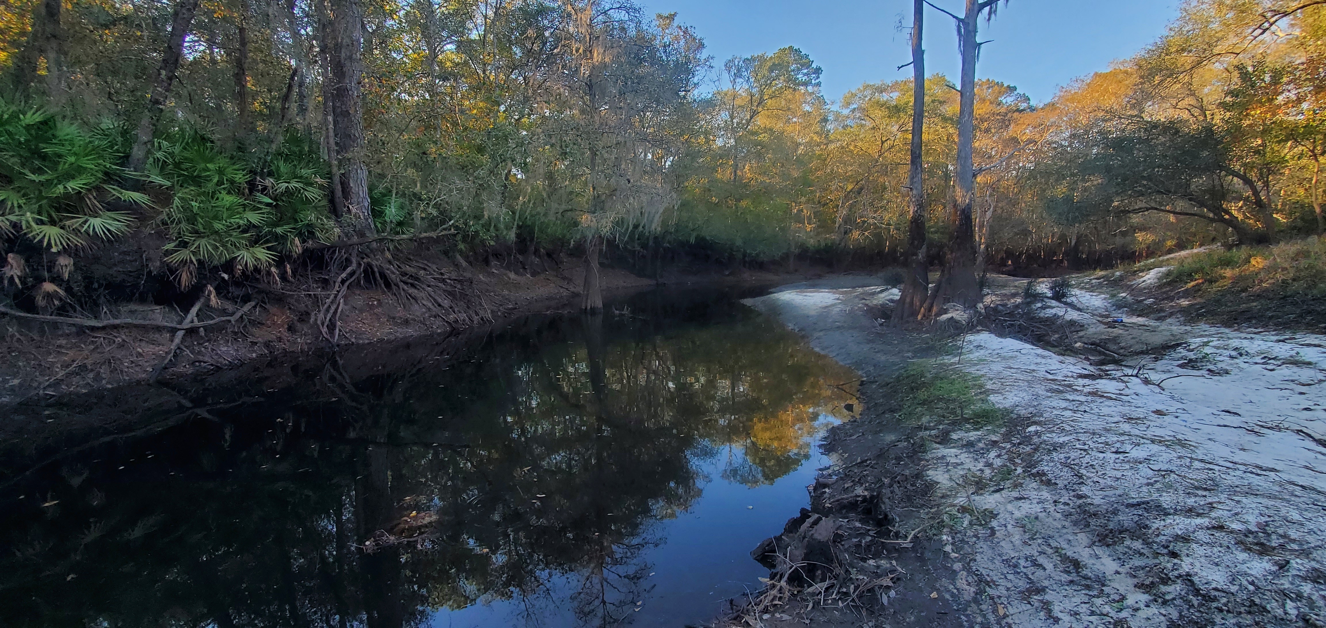 Upstream, Withlacoochee River, Langdale Park, 2022-11-13 16:10:24, 30.8875714, -83.3242222