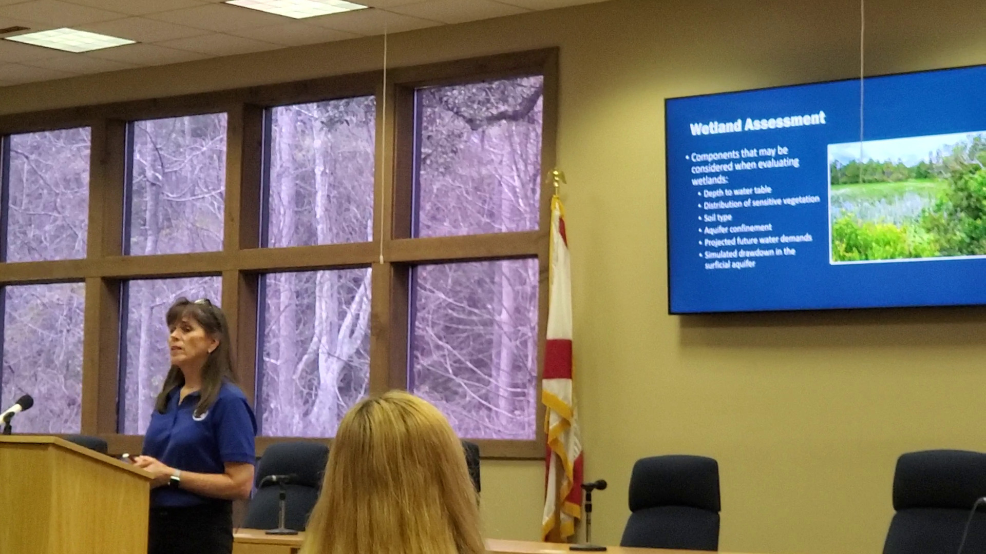 Wetland Assessment: components