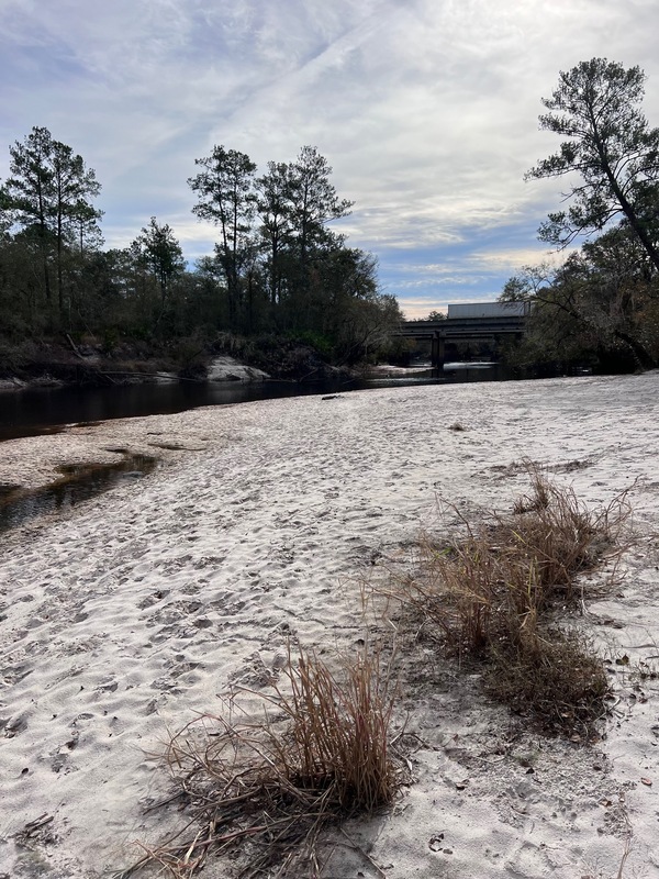 [Naylor Park Beach, Alapaha River @ US 84 2022-11-17]