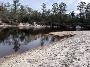 [US 84 Bridge, Naylor Park Beach, Alapaha River @ US 84 2022-11-17]