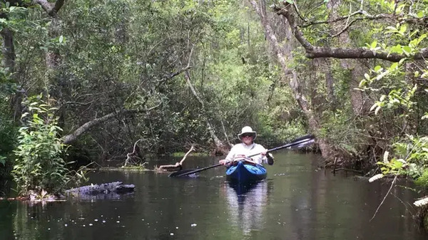 [Gator and kayak]