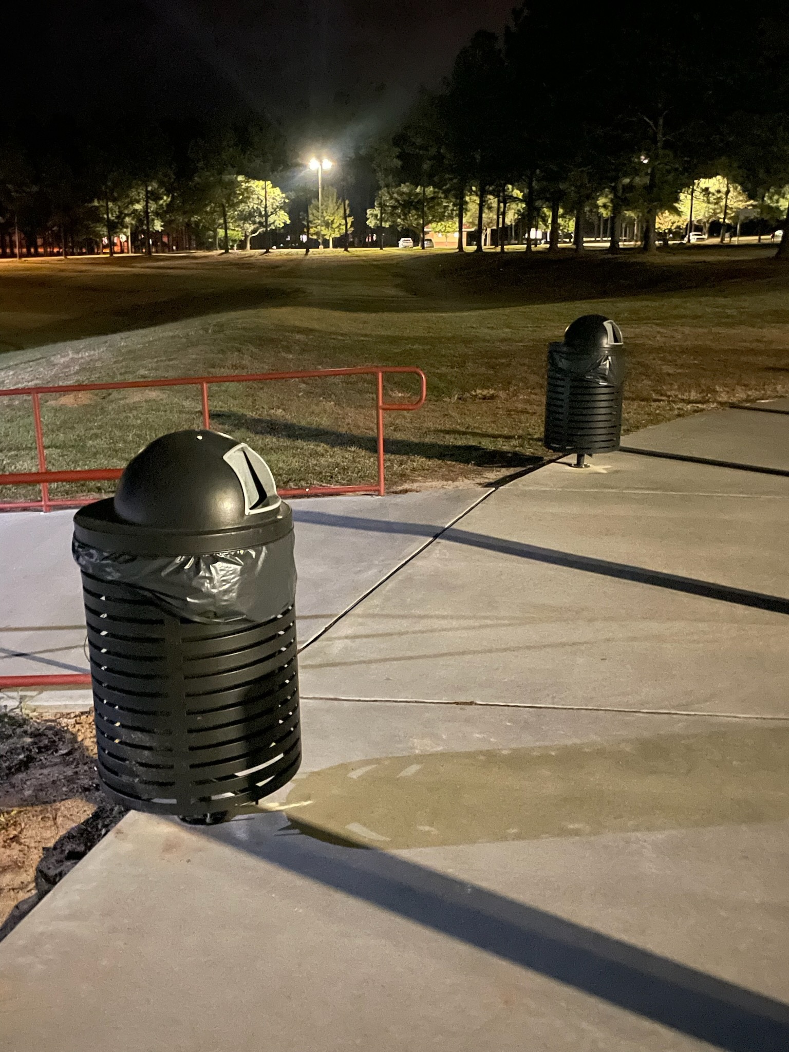 Two trash cans along a walkway