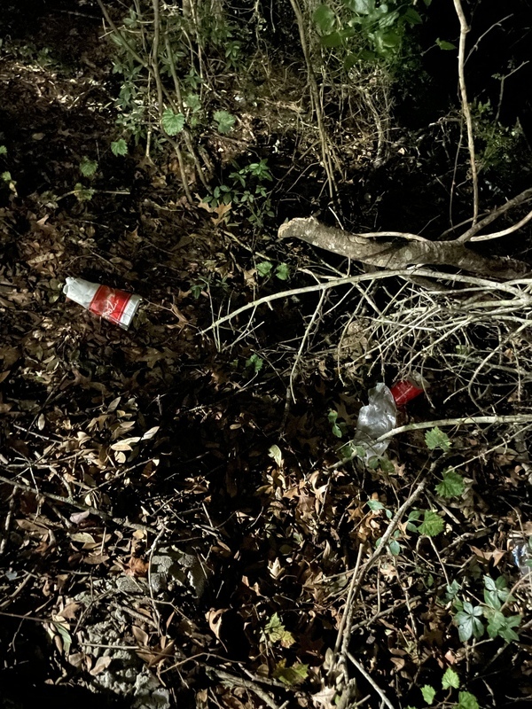 Zacadoos cup in brush near Hightower Creek