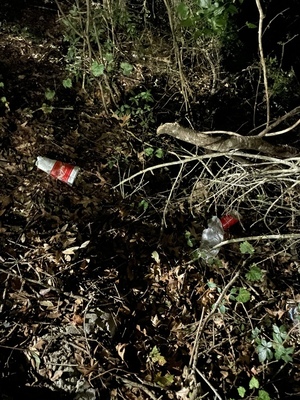 [Zacadoos cup in brush near Hightower Creek]