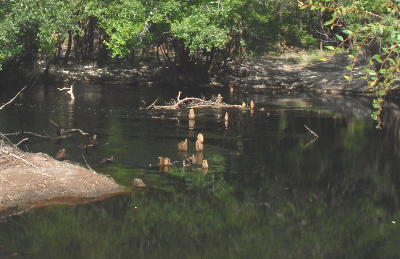 Emerged tops of cutoff pilings of the People's Bridge. --Ken Sulak