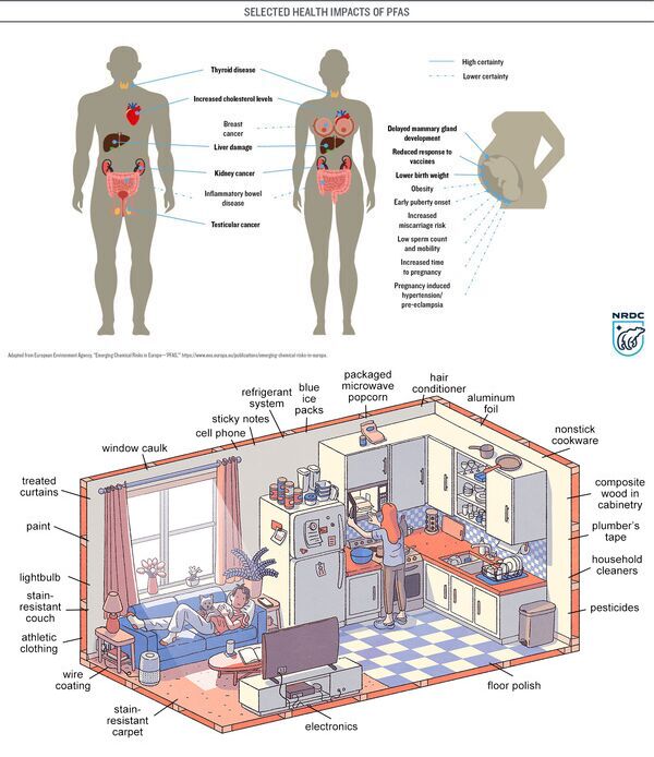 [Human health, house PFAS sources]