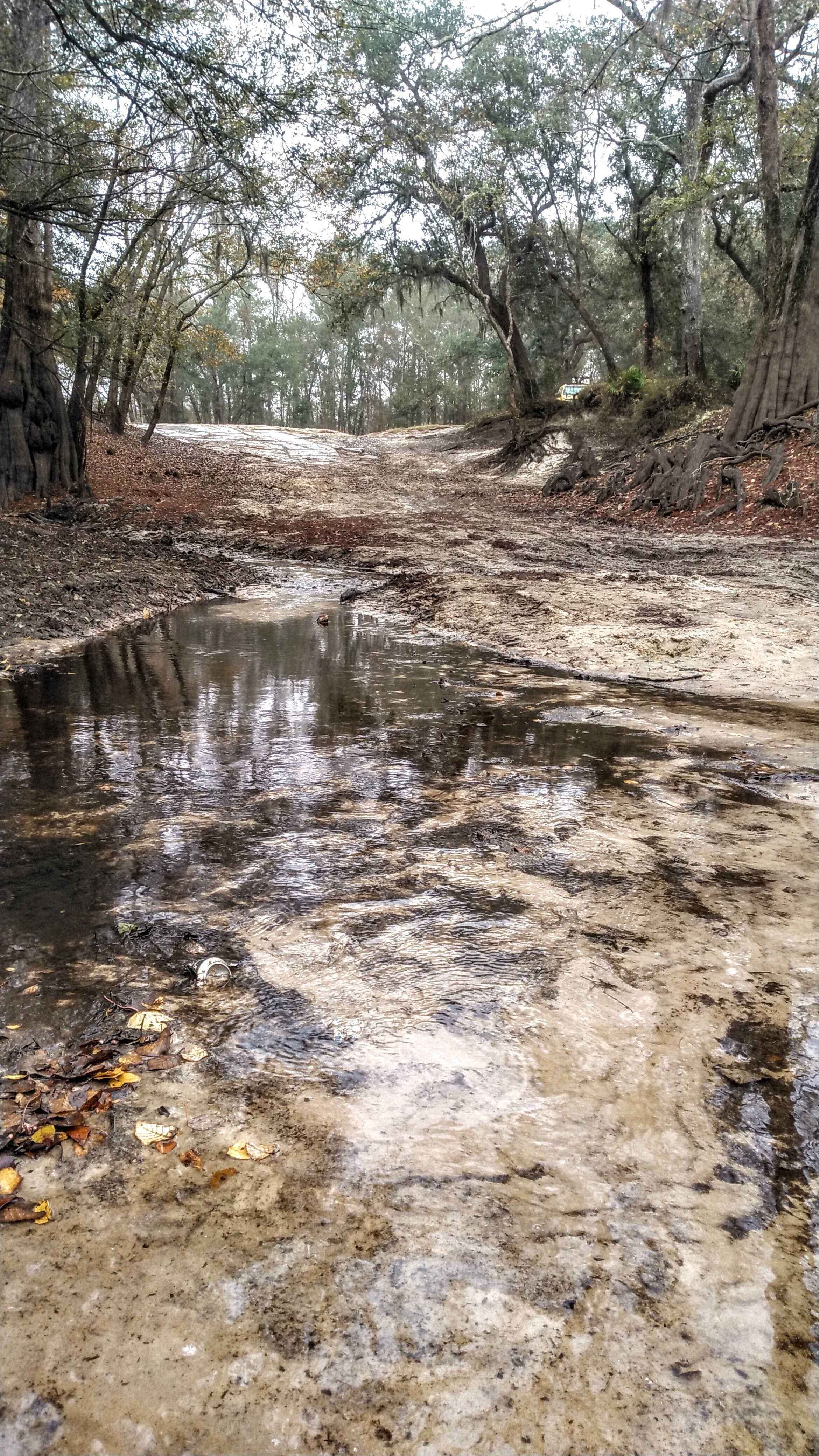 Knights Ferry Boat Ramp, Withlacoochee River 2022-11-26