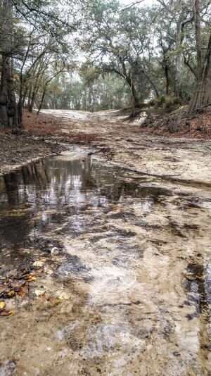 [Knights Ferry Boat Ramp, Withlacoochee River 2022-11-26]