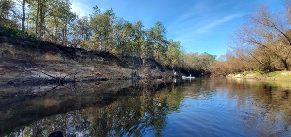 Wrested vegetation, upstream, 12:24:54, 30.6949341, -83.4472332