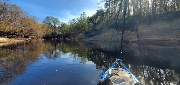 Wrested vegetation, downstream, 12:24:56, 30.6949341, -83.4472332