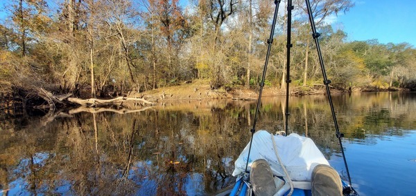 Context, deadfall and brush, 15:41:59, 30.6774328, -83.3982378