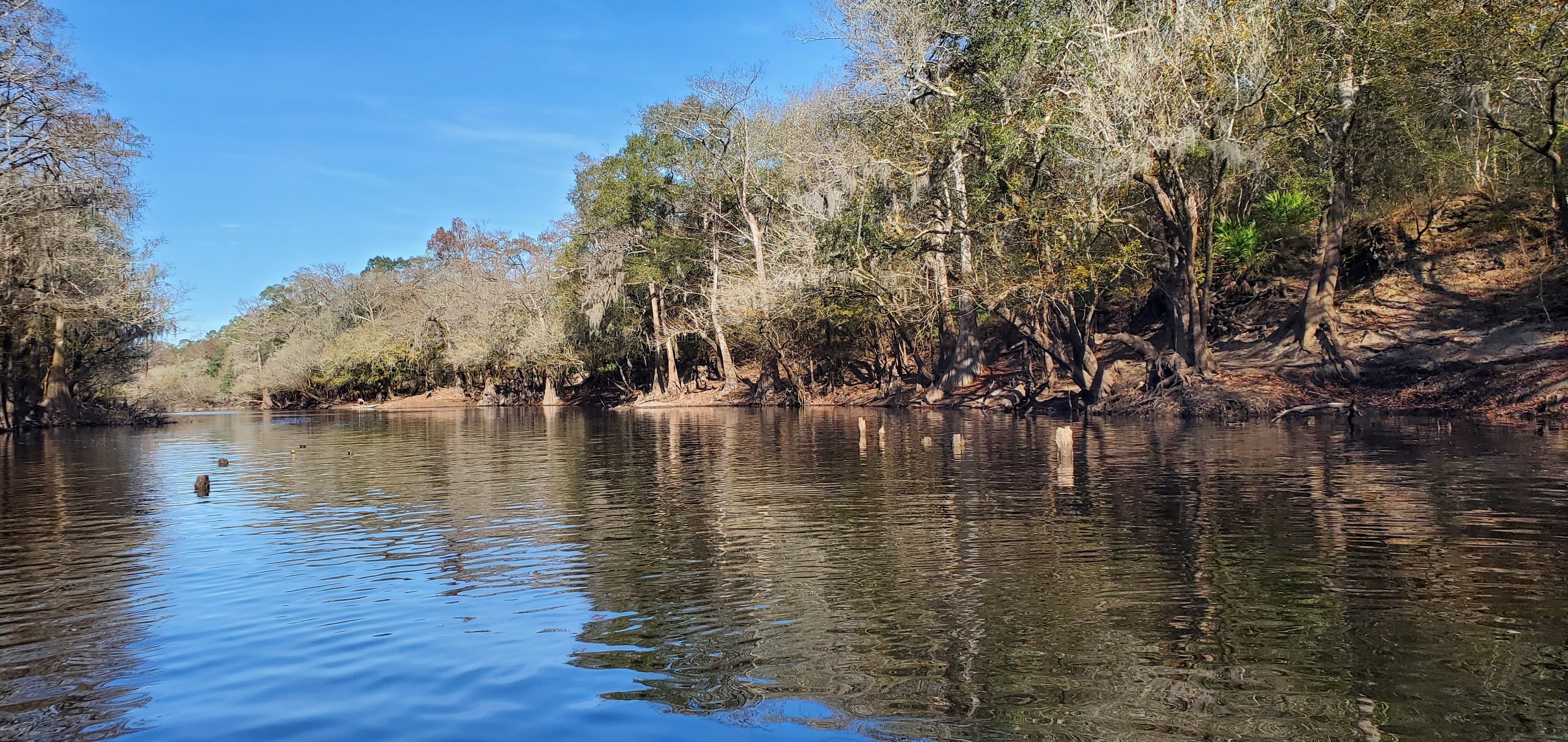 Knight Bridge posts upstream, 10:24:32, 30.7110377, -83.4547304