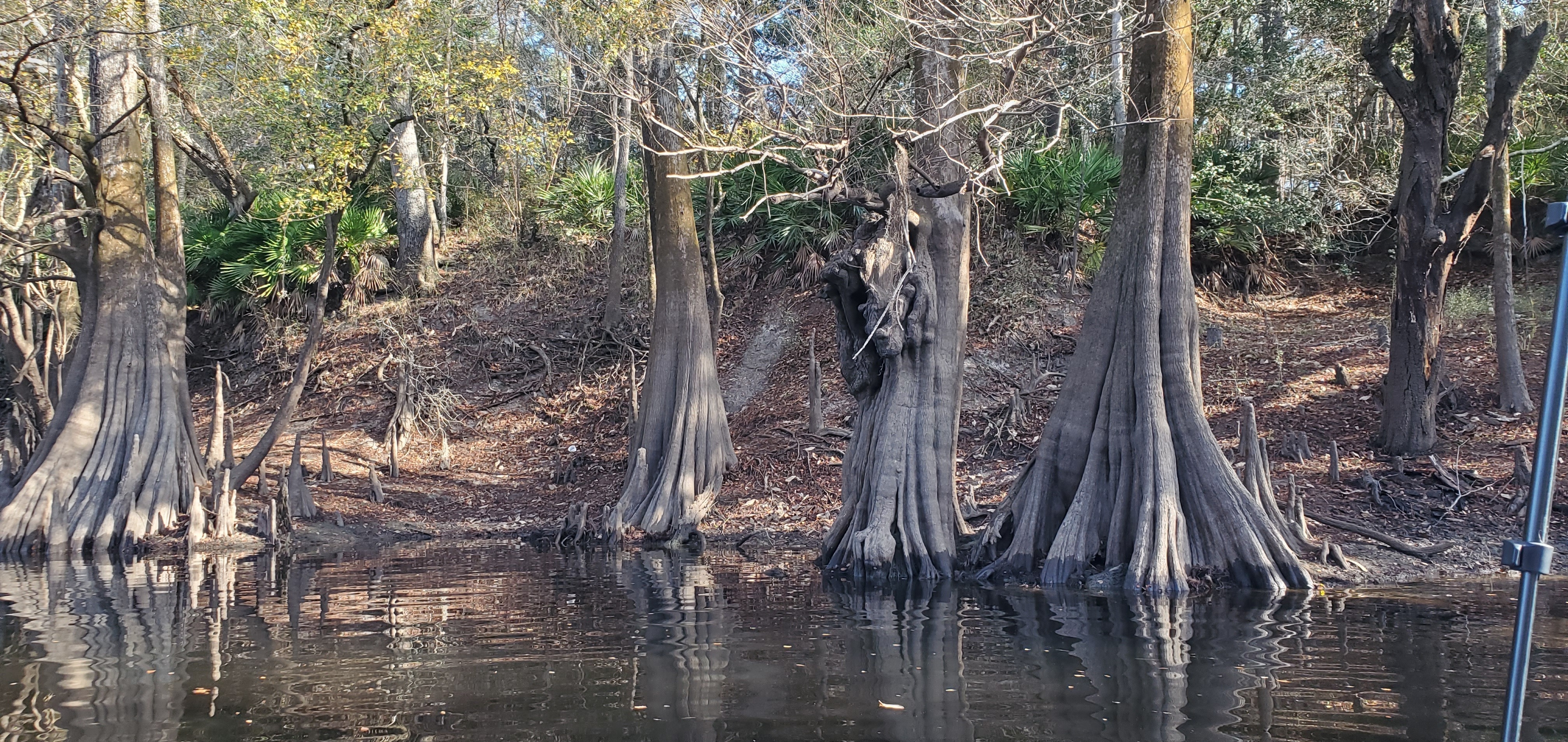 Gator slide context, 10:32:06, 30.7099276, -83.4540336