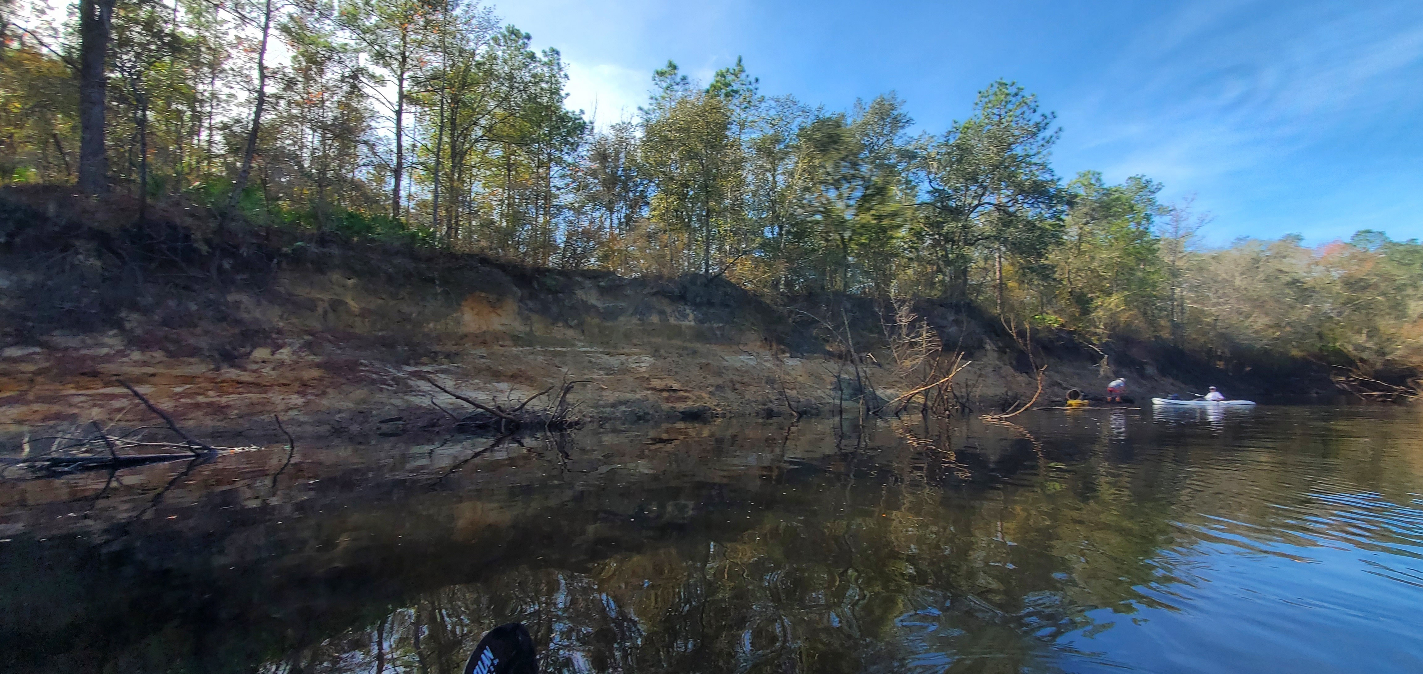 Wrested vegetation, right bank, 12:24:53, 30.6949341, -83.4472332