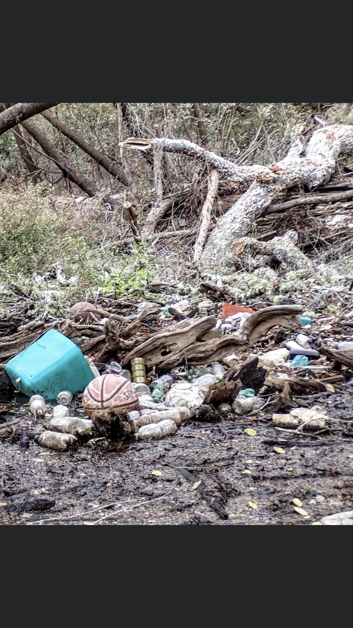 Right in our backyard. Came across at least 3 good size buildups of trash. The river is at perfect stage to get this. --Russell Allen McBride