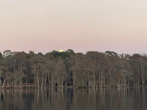 [Yellow moonrise --Gretchen Quarterman]