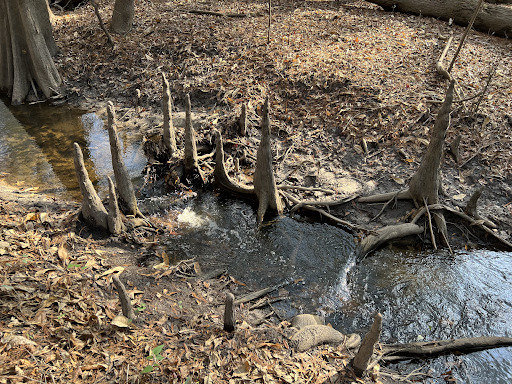 Waterfall: Stream descends more. by Phillip Williams