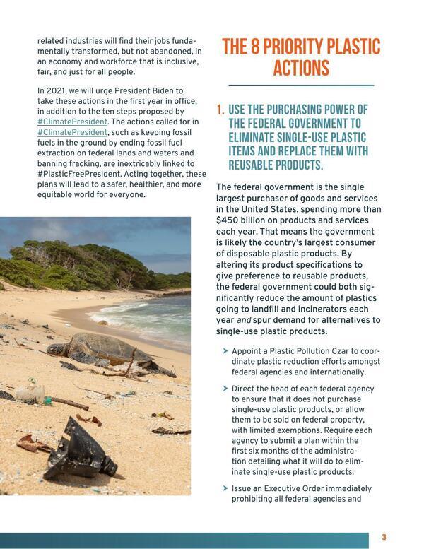 [The 8 Priority Plastic Actions]