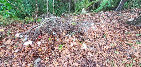 Trash in brush by Hightower Creek