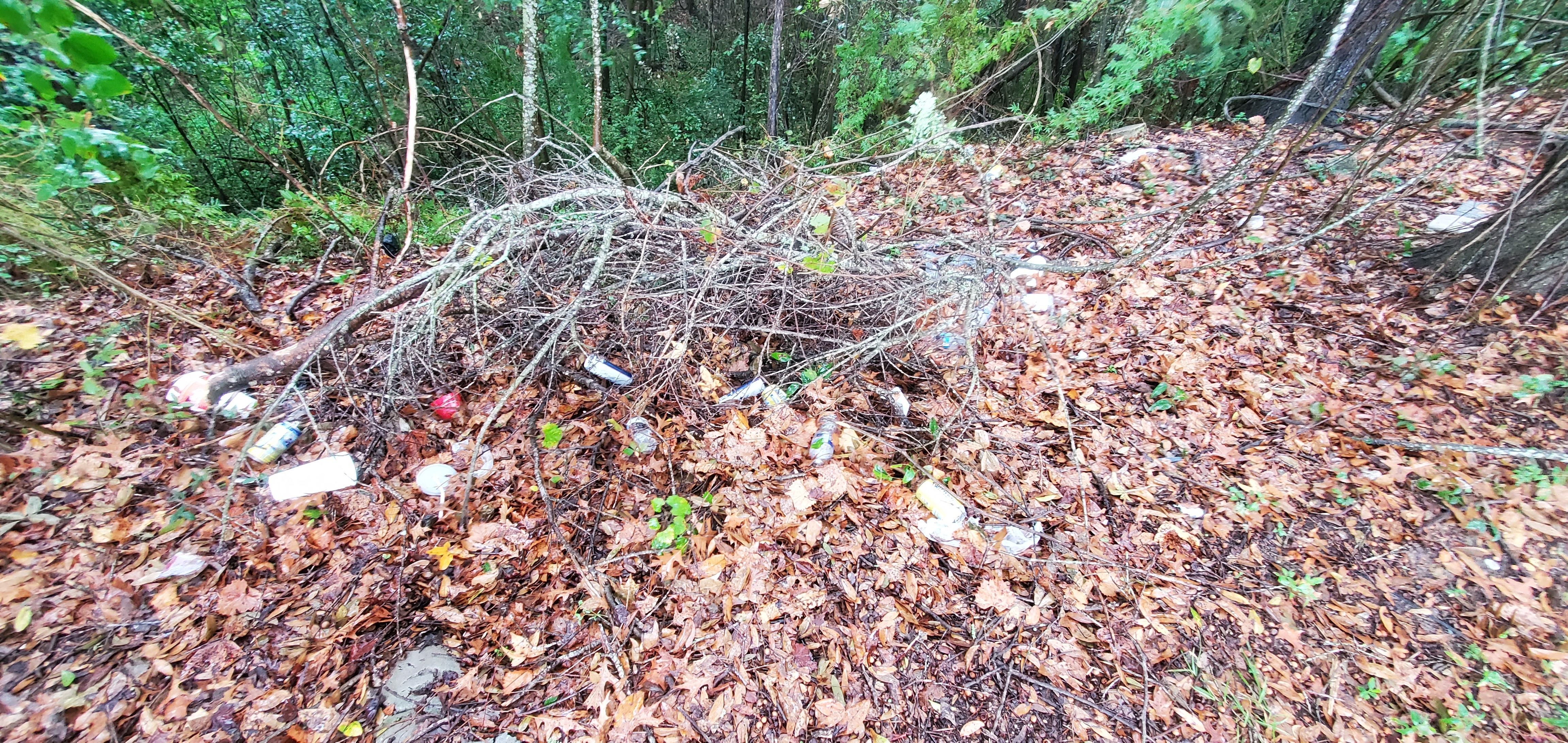 Trash in brush by Hightower Creek