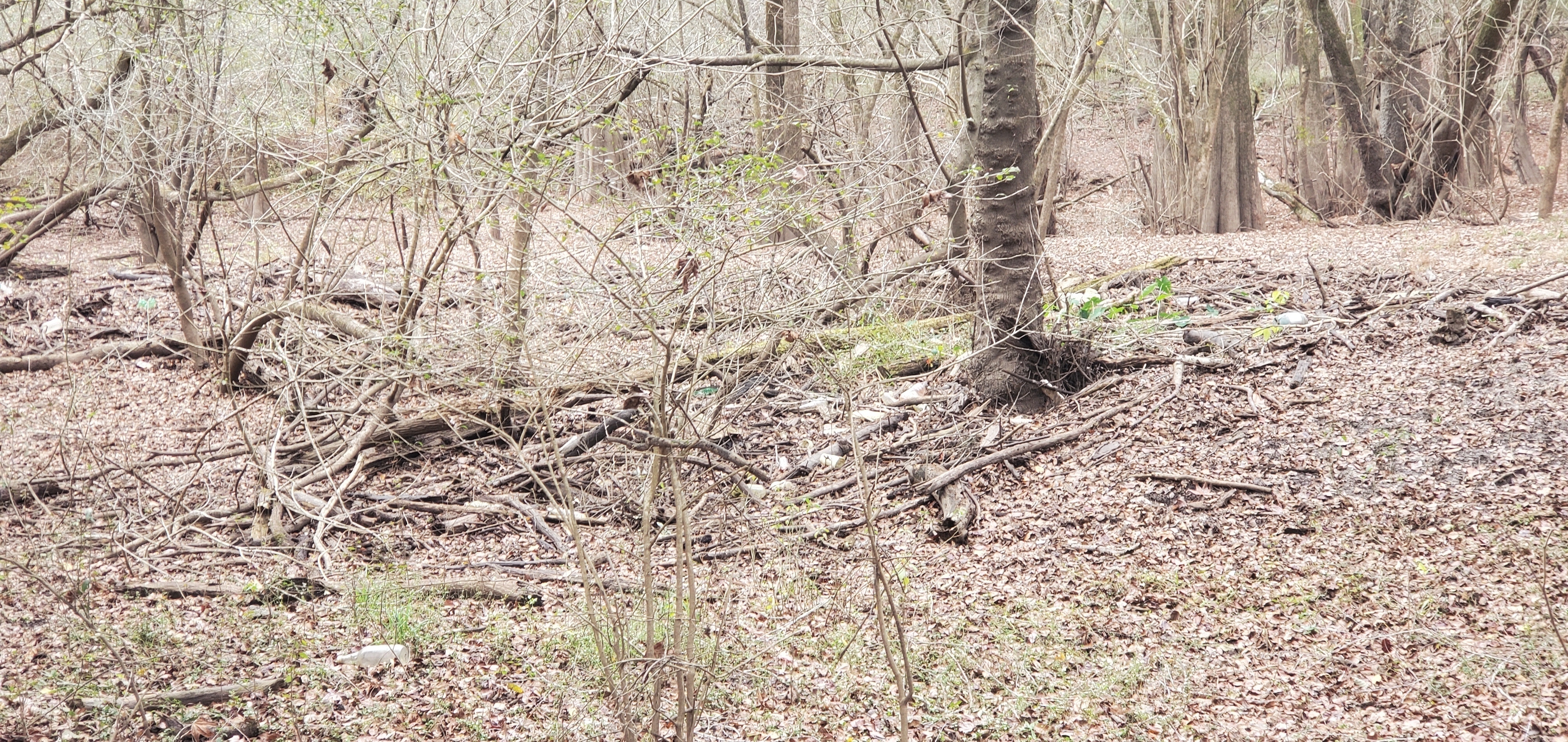 More trash over the bluff, 11:59:08, 30.6898120, -83.4408220