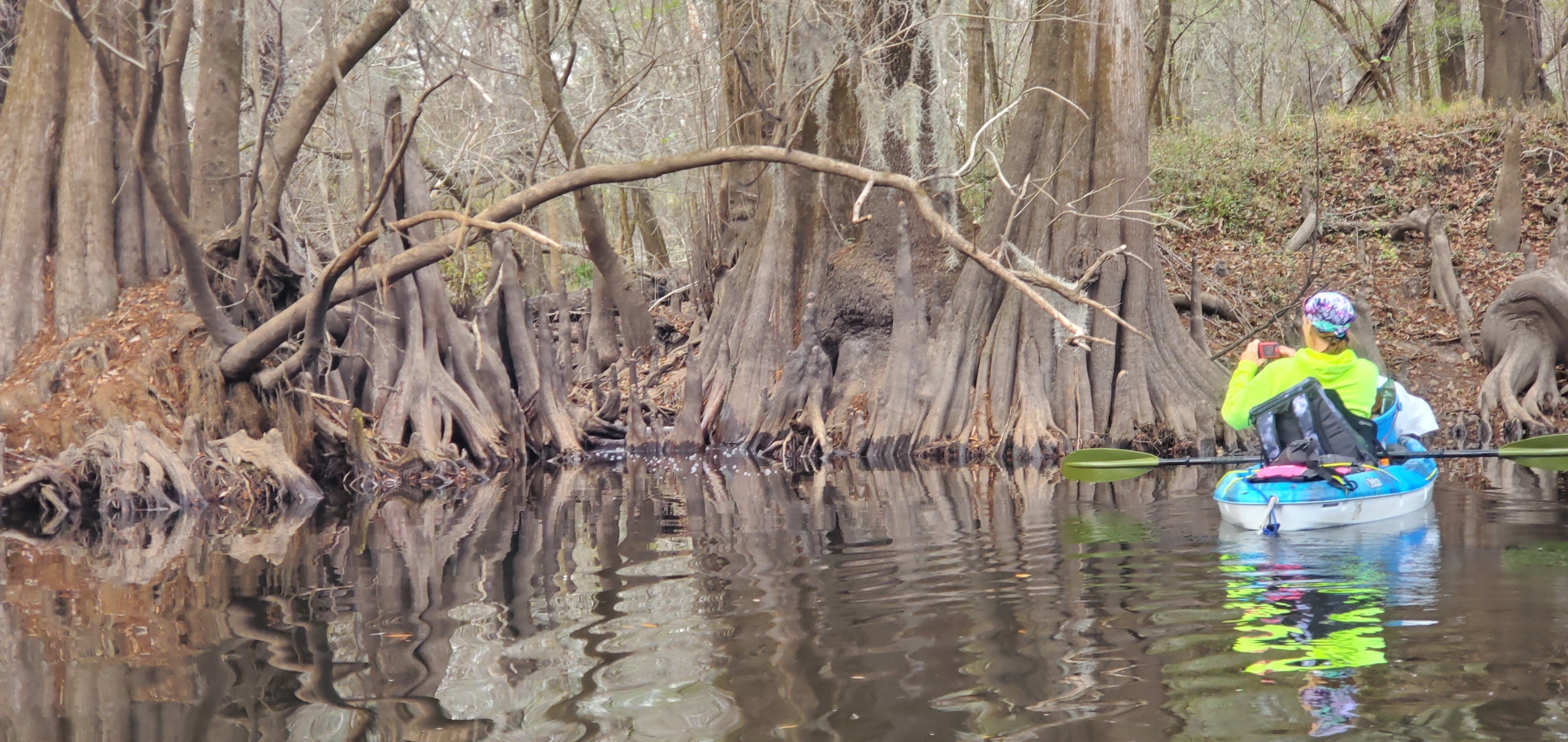 Redland Creek, 15:24:45, 30.6769738, -83.4001778