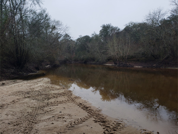 [Folsom Bridge Landing, Little River @ GA 122 2022-12-22]