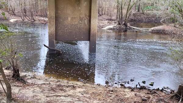 Movie: Level and Flow, Nankin Boat Ramp, Withlacoochee River @ Clyattville-Nankin Road 2022-12-22