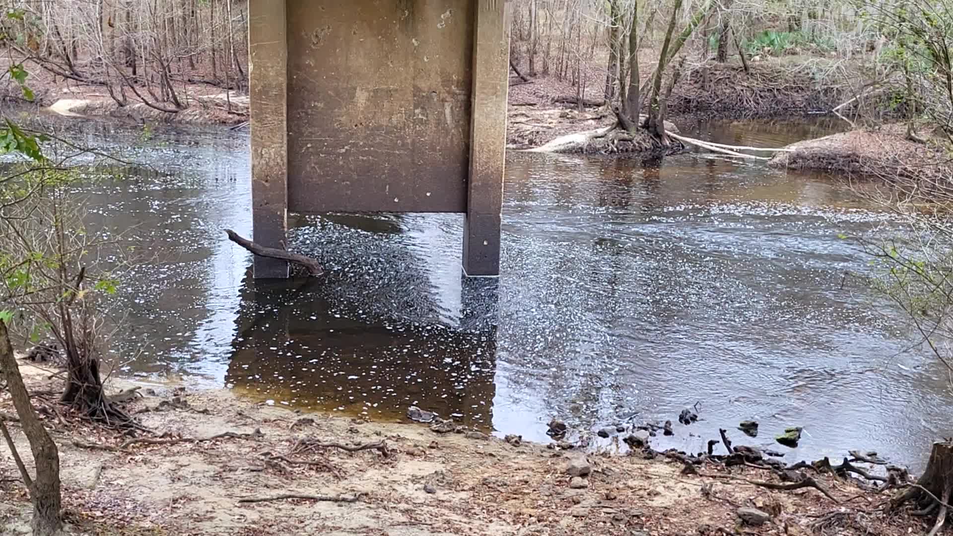 Movie: Level and Flow, Nankin Boat Ramp, Withlacoochee River @ Clyattville-Nankin Road 2022-12-22