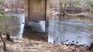 [Movie: Level and Flow, Nankin Boat Ramp, Withlacoochee River @ Clyattville-Nankin Road 2022-12-22]