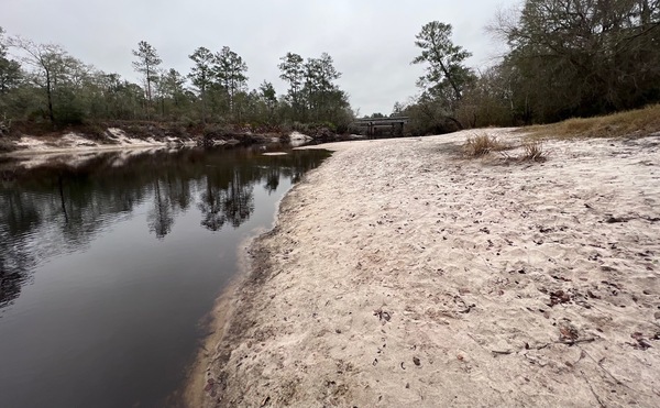 [Naylor Park Beach, Alapaha River @ US 84 --Kimberly Tanner, 2022-12-20, 15:15, 30.9253083, -83.0384972]