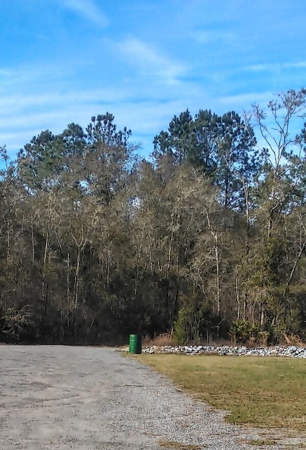 [Trash can at Naylor Boat Ramp --Suzy Hall]