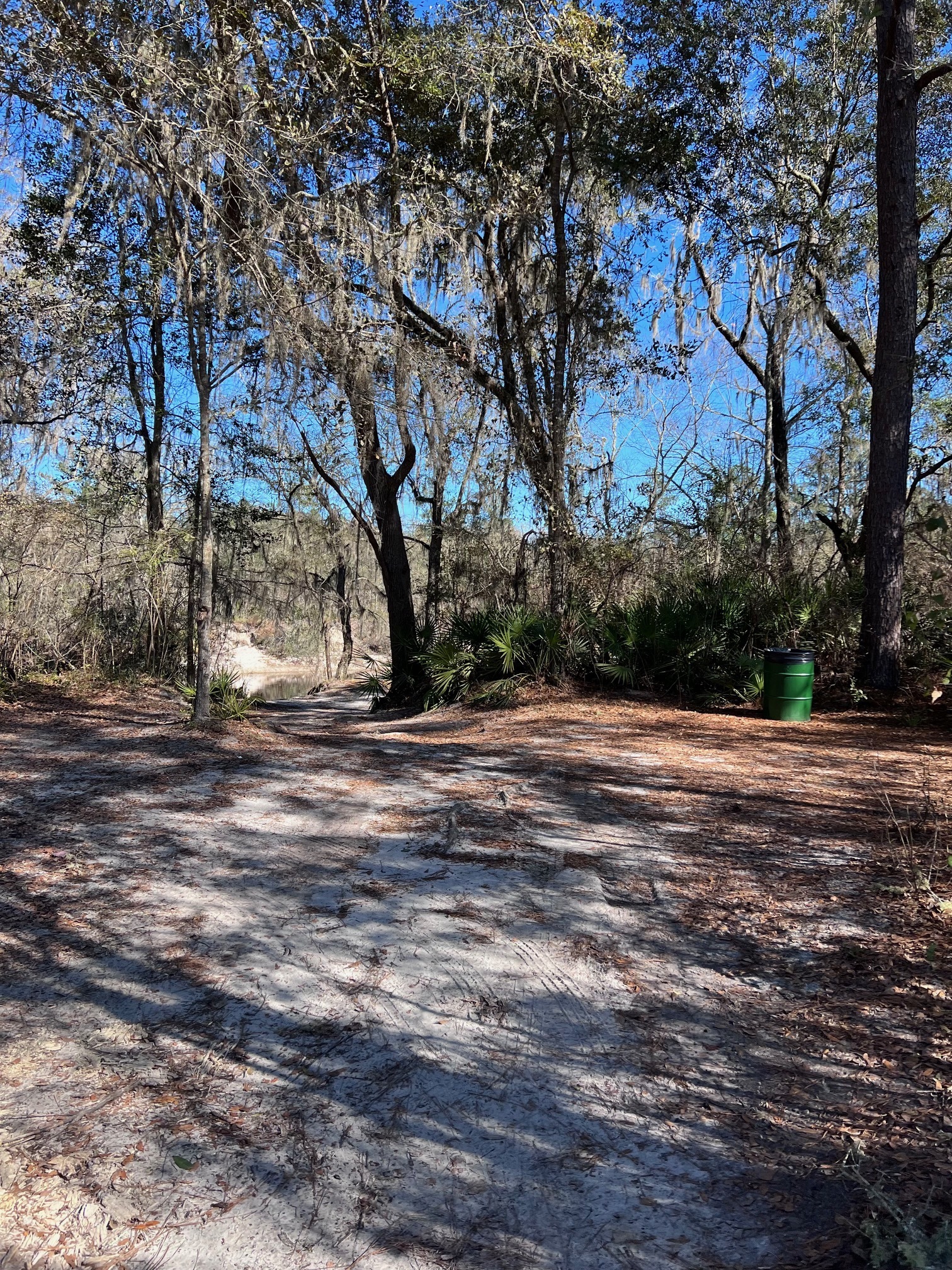 Trash can at entrance to Naylor Beach --Kimberly Tanner 2022-12-29