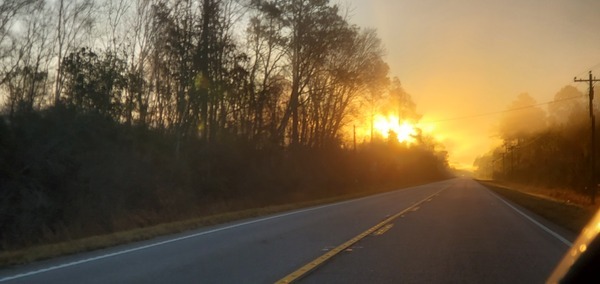 [Sunrise on US 441, just south of Homerville, GA, 07:43:28, 31.0254225, -82.7382977]