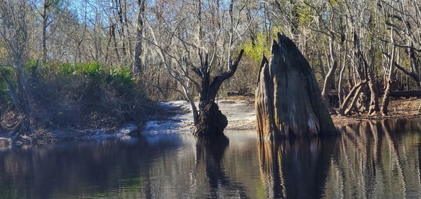 [Probably not a right bank private landing, 11:10:58, 30.7568204, -82.4899636]