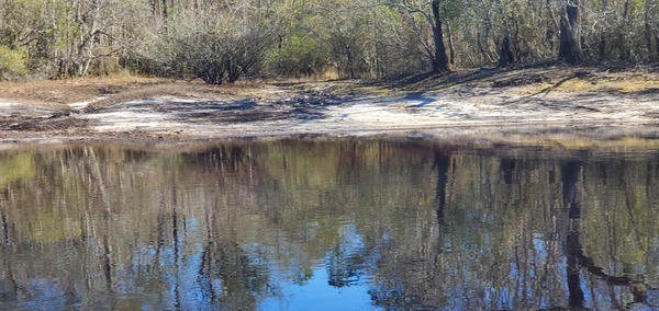 Closeup, Drawdy Mill Landing, 11:37:33, 30.7410204, -82.4922735