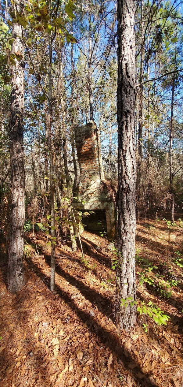 Context, front of chimney, 12:51:18, 30.7150405, -82.5096914