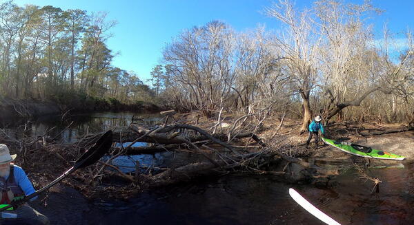 [Portage Logjam, 15:19:32, 30.7156703, -82.5186389]