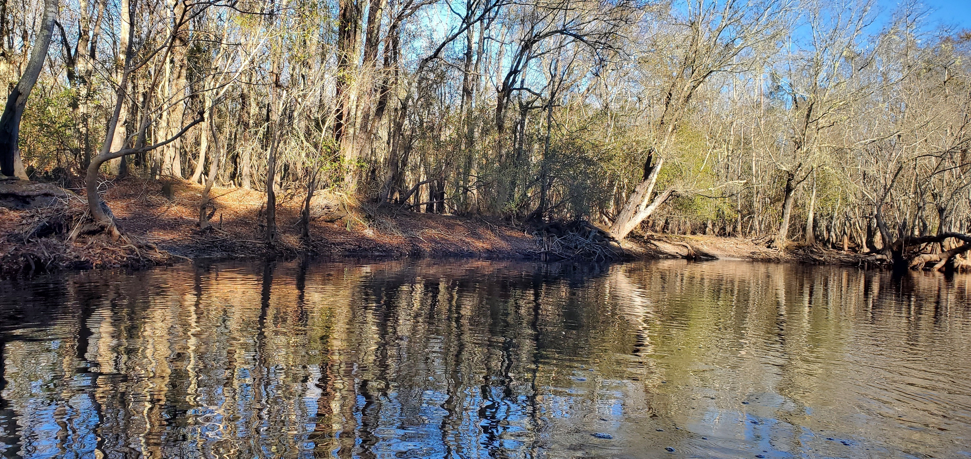 Possible private access, left (east) bank, 09:49:17, 30.7772846, -82.4679113