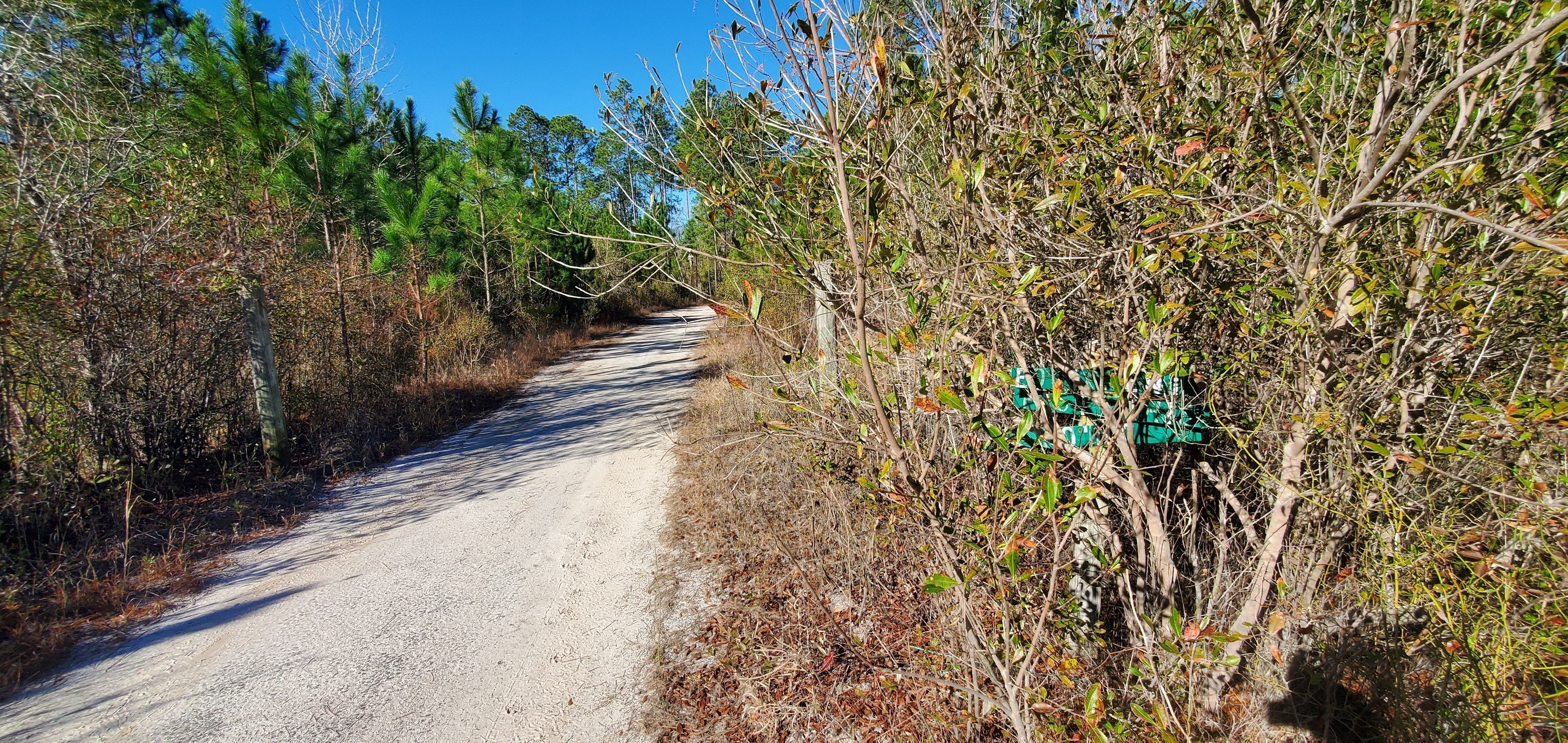 Sign and gate, 10:50:10, 30.7603919, -82.4815184