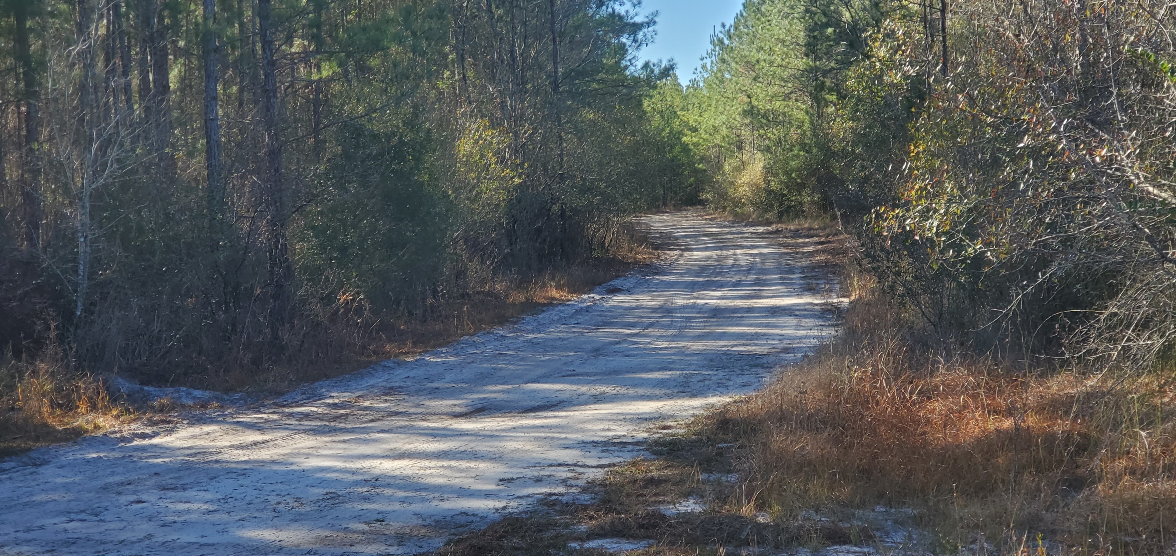 Looking south, 10:50:45, 30.7603919, -82.4815184