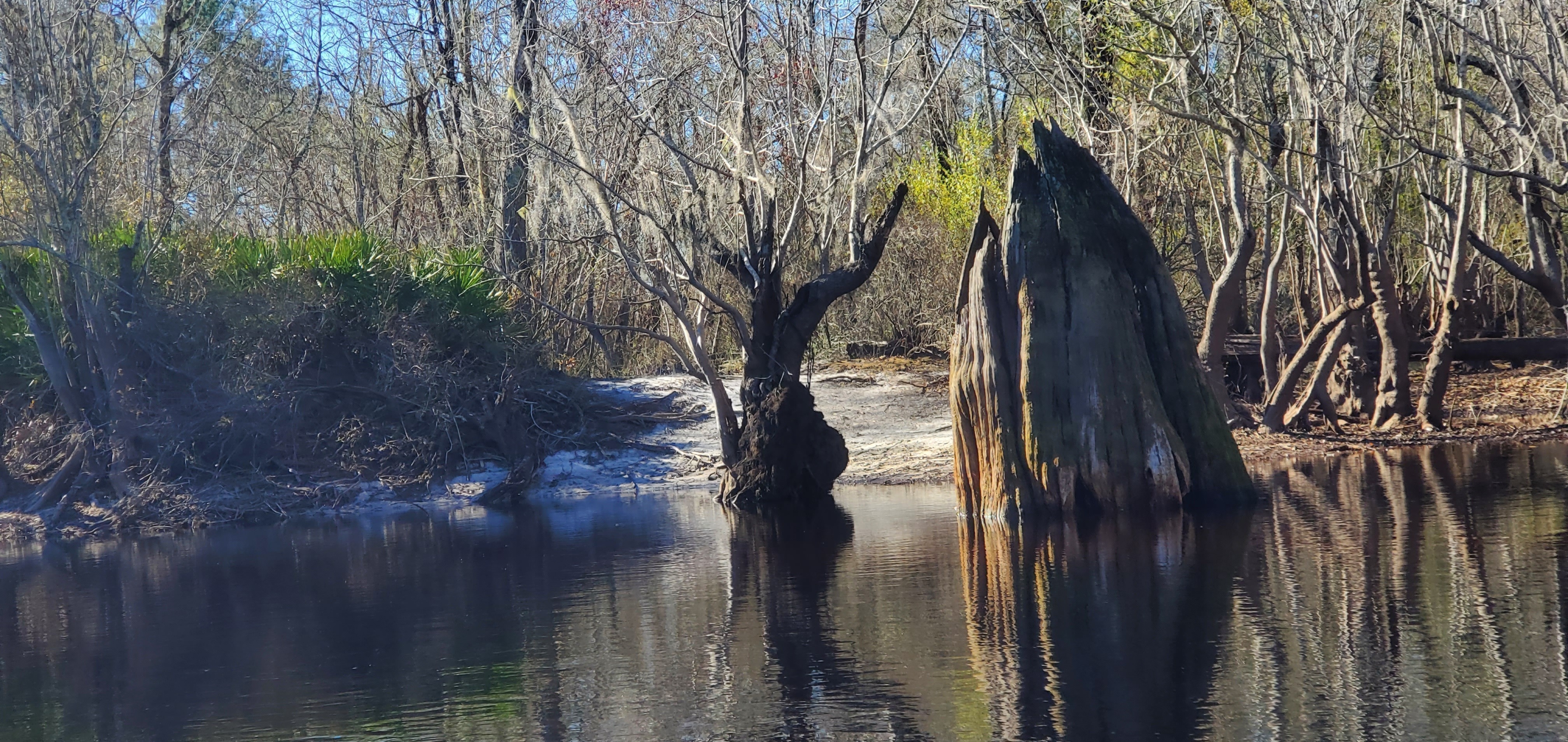 Probably not a right bank private landing, 11:10:58, 30.7568204, -82.4899636