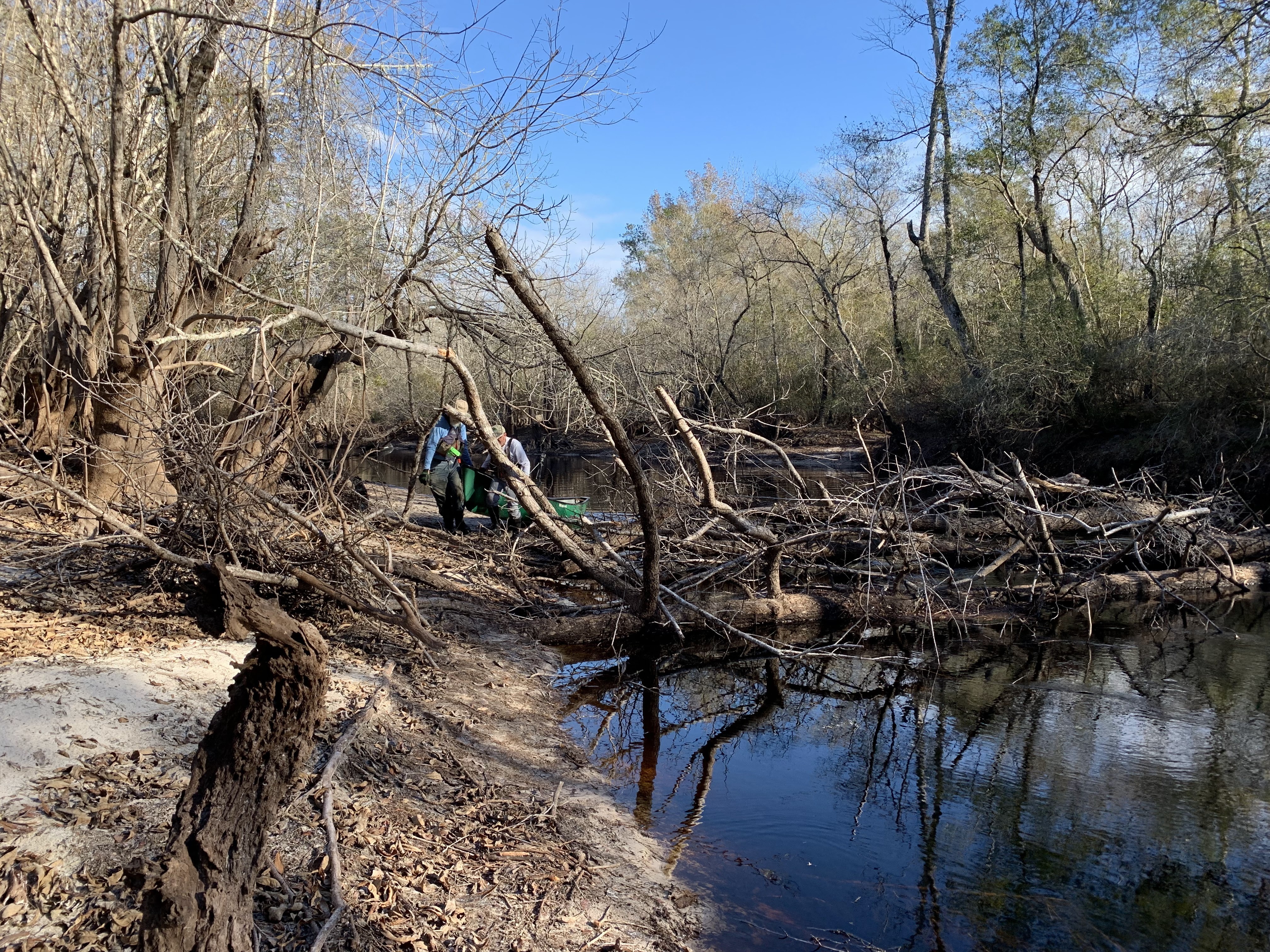 Portage Logjam --Shirley Kokidko, 15:21:39, 30.7156703, -82.5186389