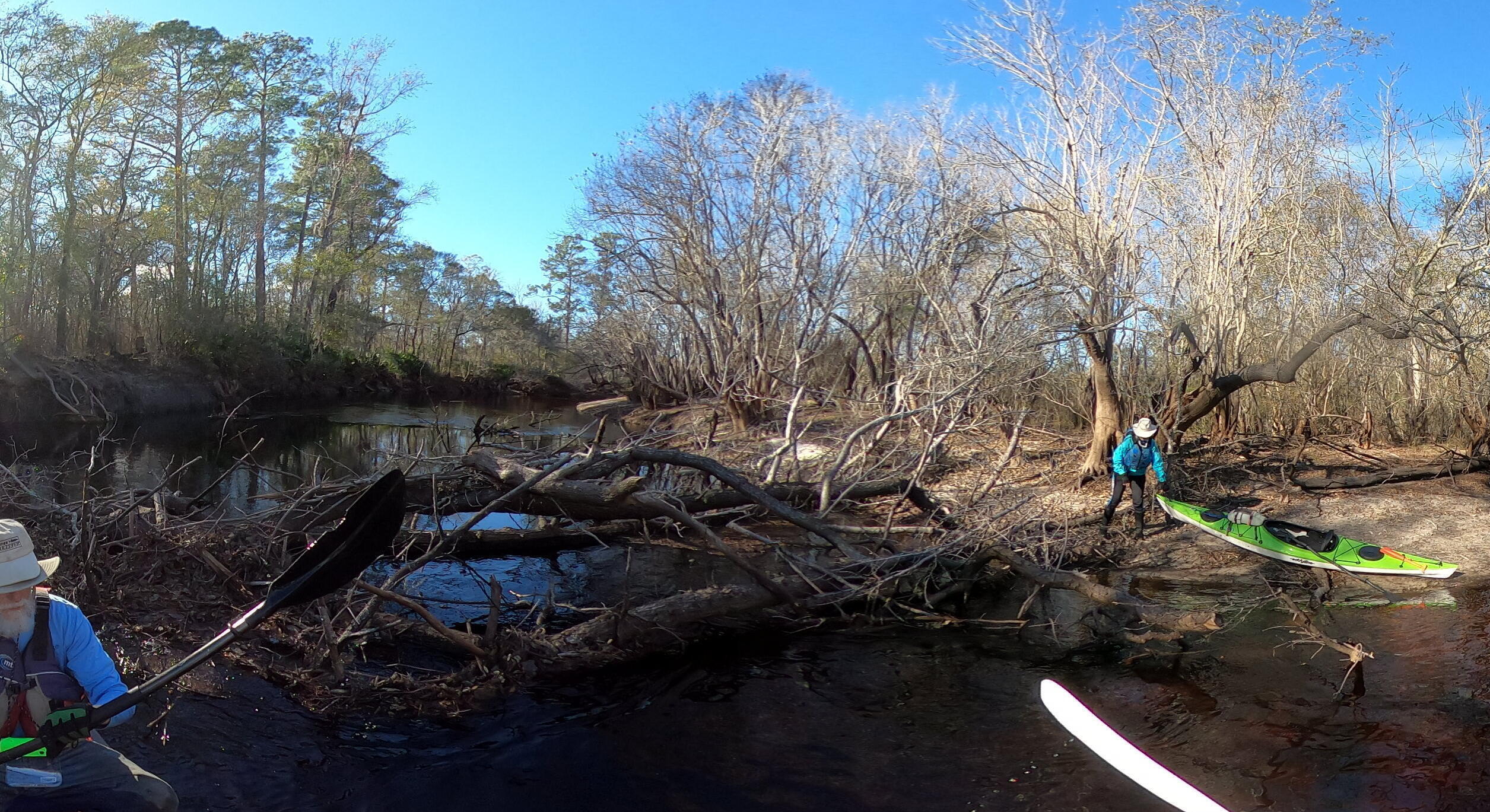 Portage Logjam, 15:19:32, 30.7156703, -82.5186389