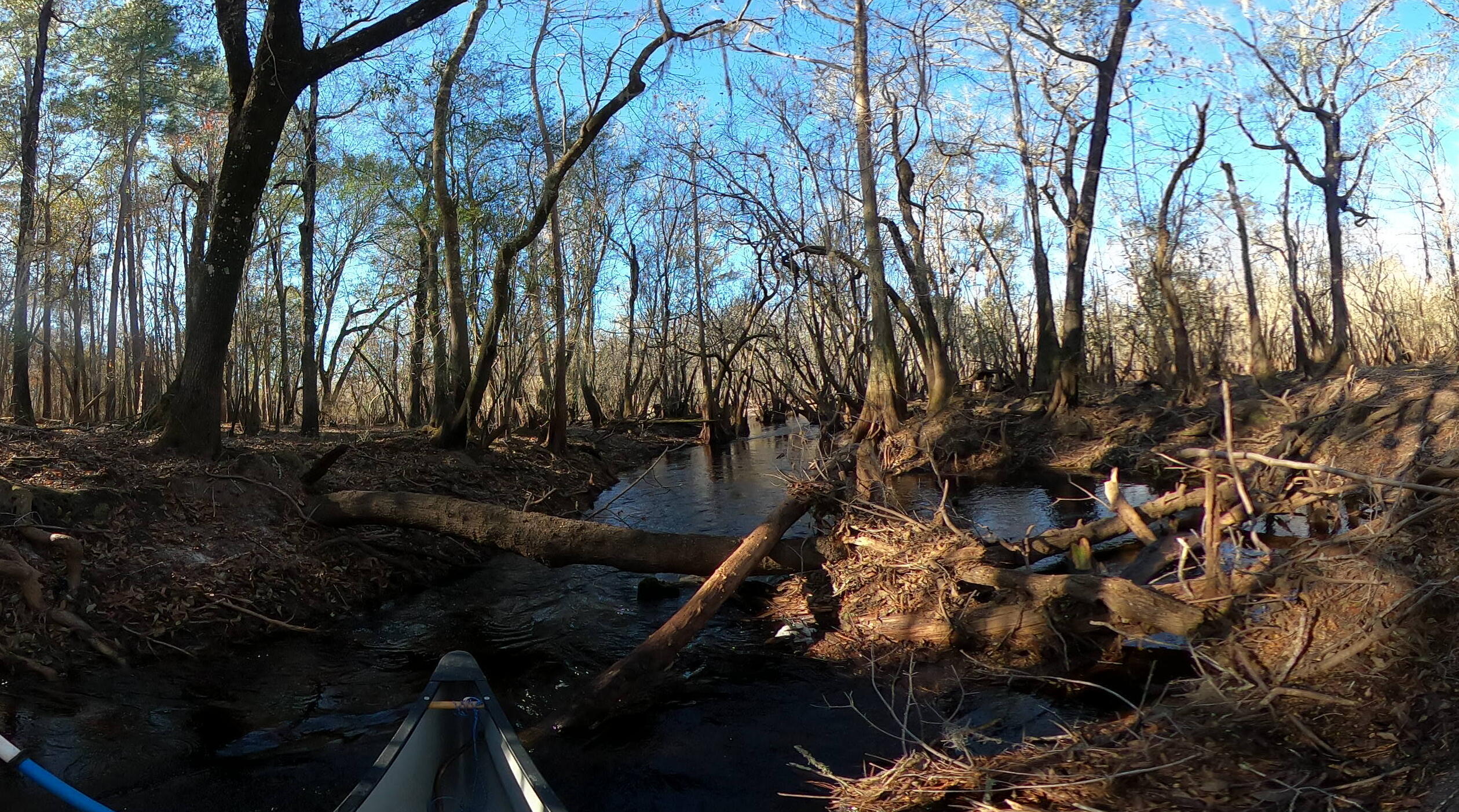 Log across Allen Camp Cutthrough, 10:09:37, 30.7706669, -82.4737795