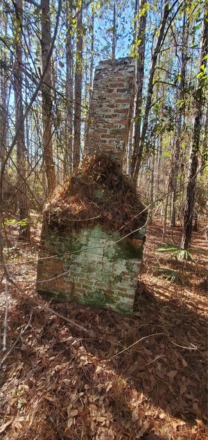 [Back of chimney, 12:50:52, 30.7155605, -82.5093995]