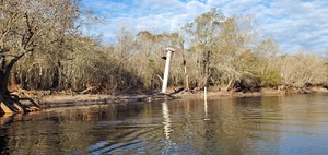 [Suwannee River Above Fargo Gauge from downstream, 15:57:42, 30.7073828, -82.5390746]